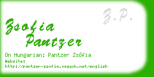 zsofia pantzer business card